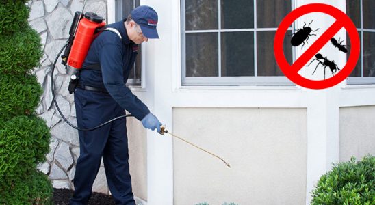 Koçarlı Böcek İlaçlama böcek ilaçlama ve haşere kontrolü — ilaclama-tr.com